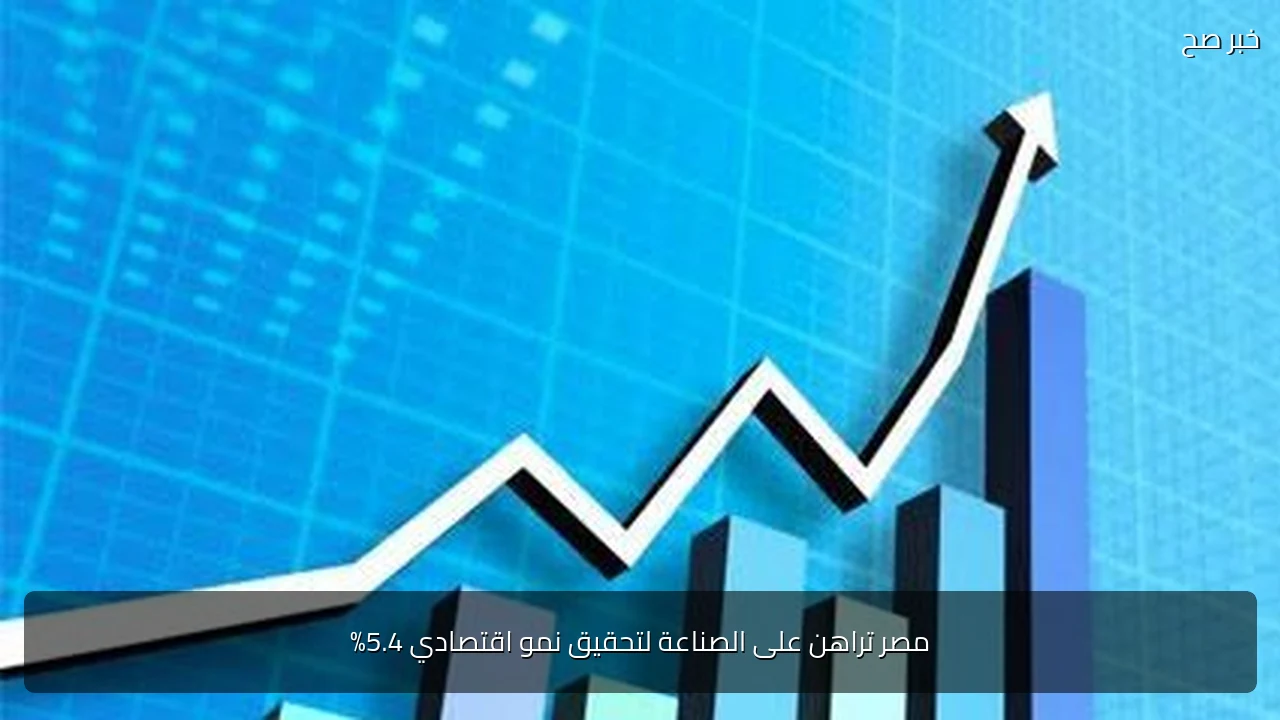 مصر تراهن على الصناعة لتحقيق نمو اقتصادي 5.4%