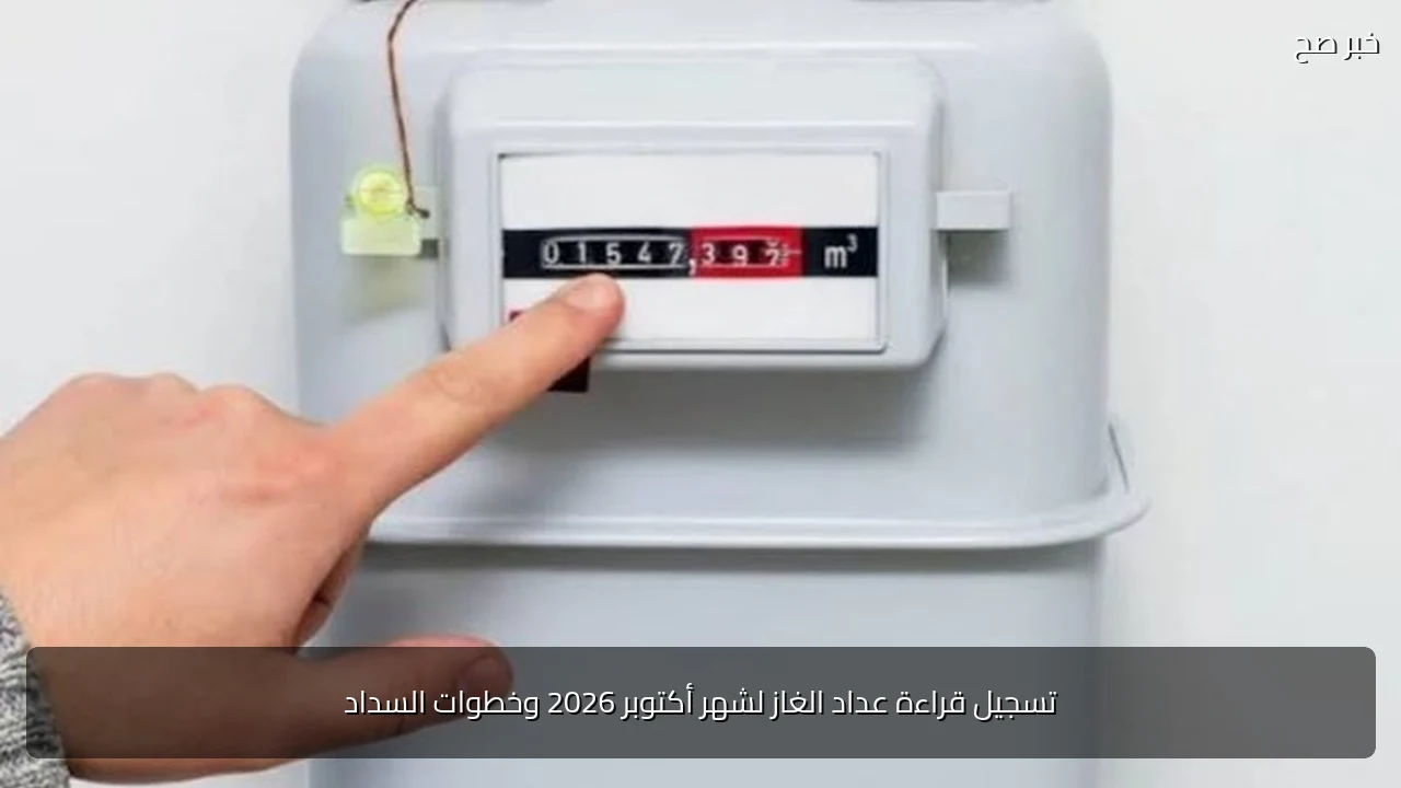 تسجيل قراءة عداد الغاز لشهر أكتوبر 2026 وخطوات السداد