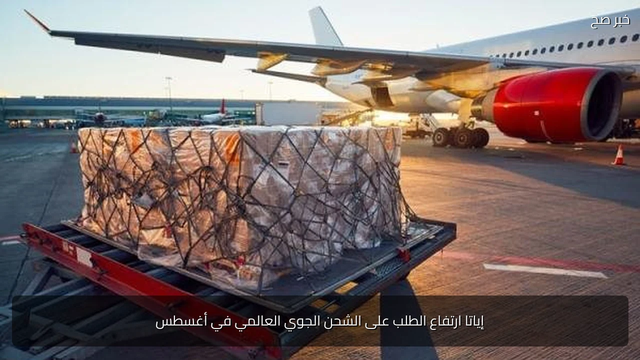 إياتا ارتفاع الطلب على الشحن الجوي العالمي في أغسطس