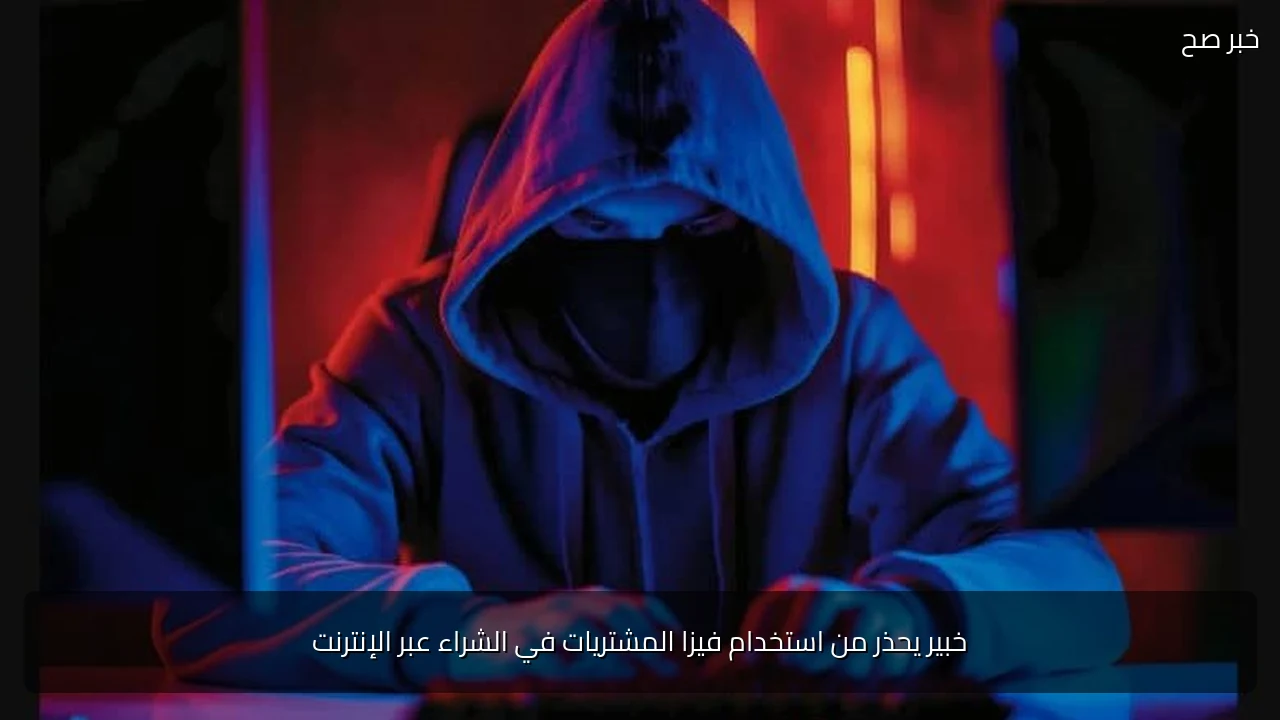 خبير يحذر من استخدام فيزا المشتريات في الشراء عبر الإنترنت