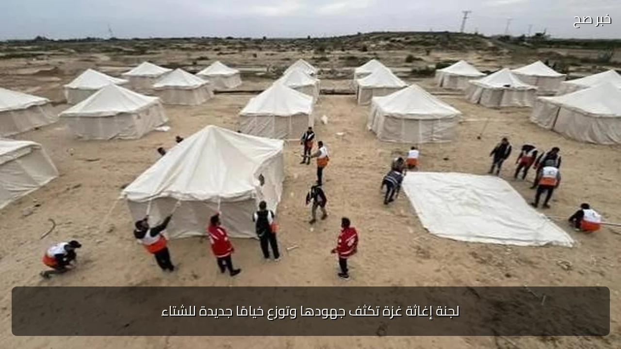 لجنة إغاثة غزة تكثف جهودها وتوزع خيامًا جديدة للشتاء