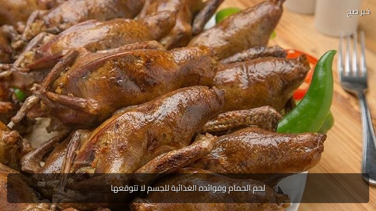 لحم الحمام وفوائده الغذائية للجسم لا تتوقعها