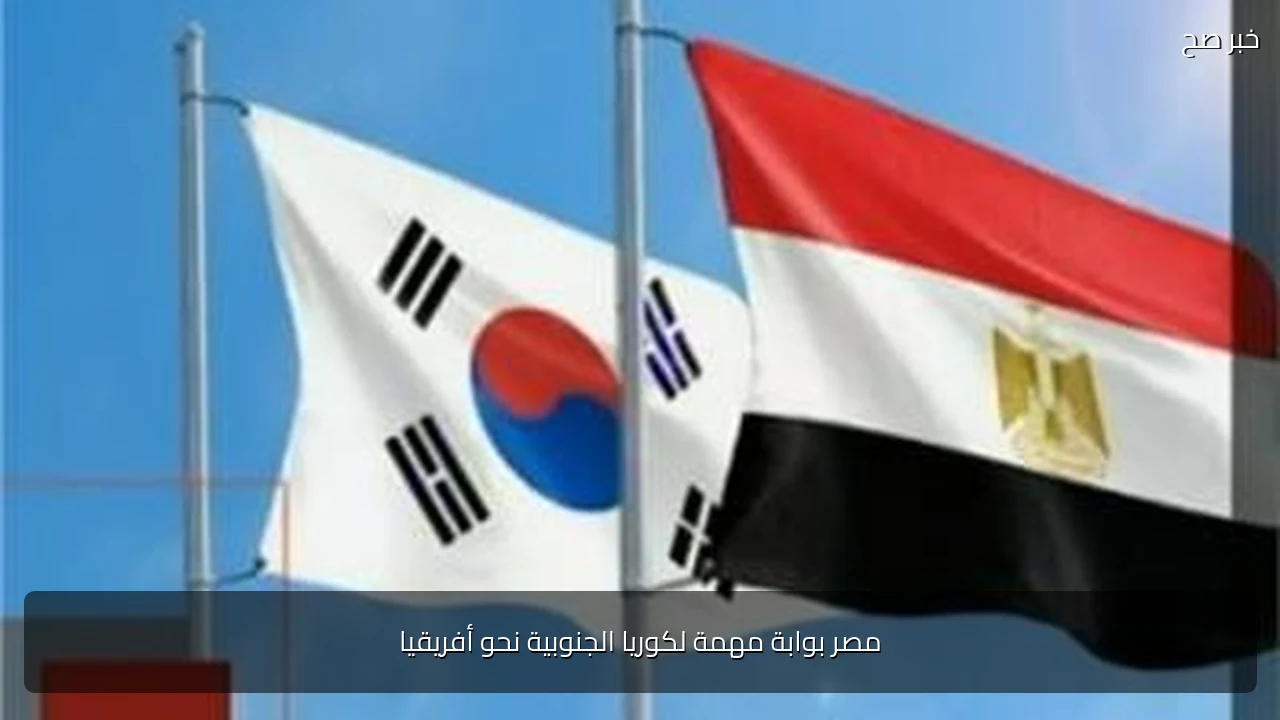 مصر بوابة مهمة لكوريا الجنوبية نحو أفريقيا