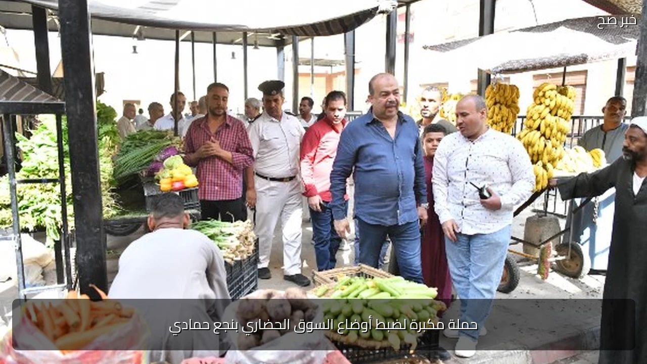 حملة مكبرة لضبط أوضاع السوق الحضاري بنجع حمادي