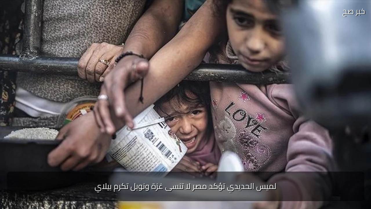 لميس الحديدي تؤكد مصر لا تنسى غزة ونوبل تكرم بيلاي