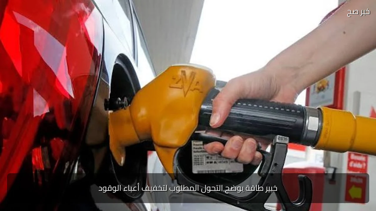 خبير طاقة يوضح التحول المطلوب لتخفيف أعباء الوقود