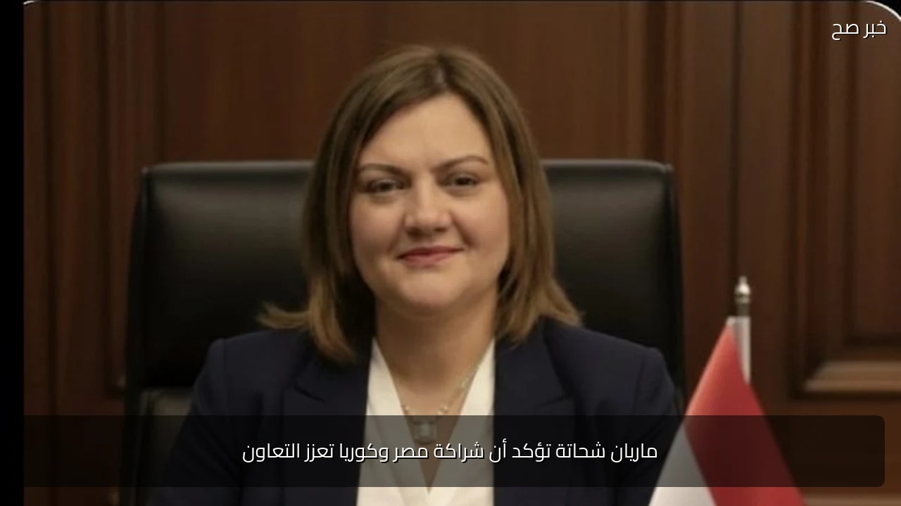 ماريان شحاتة تؤكد أن شراكة مصر وكوريا تعزز التعاون