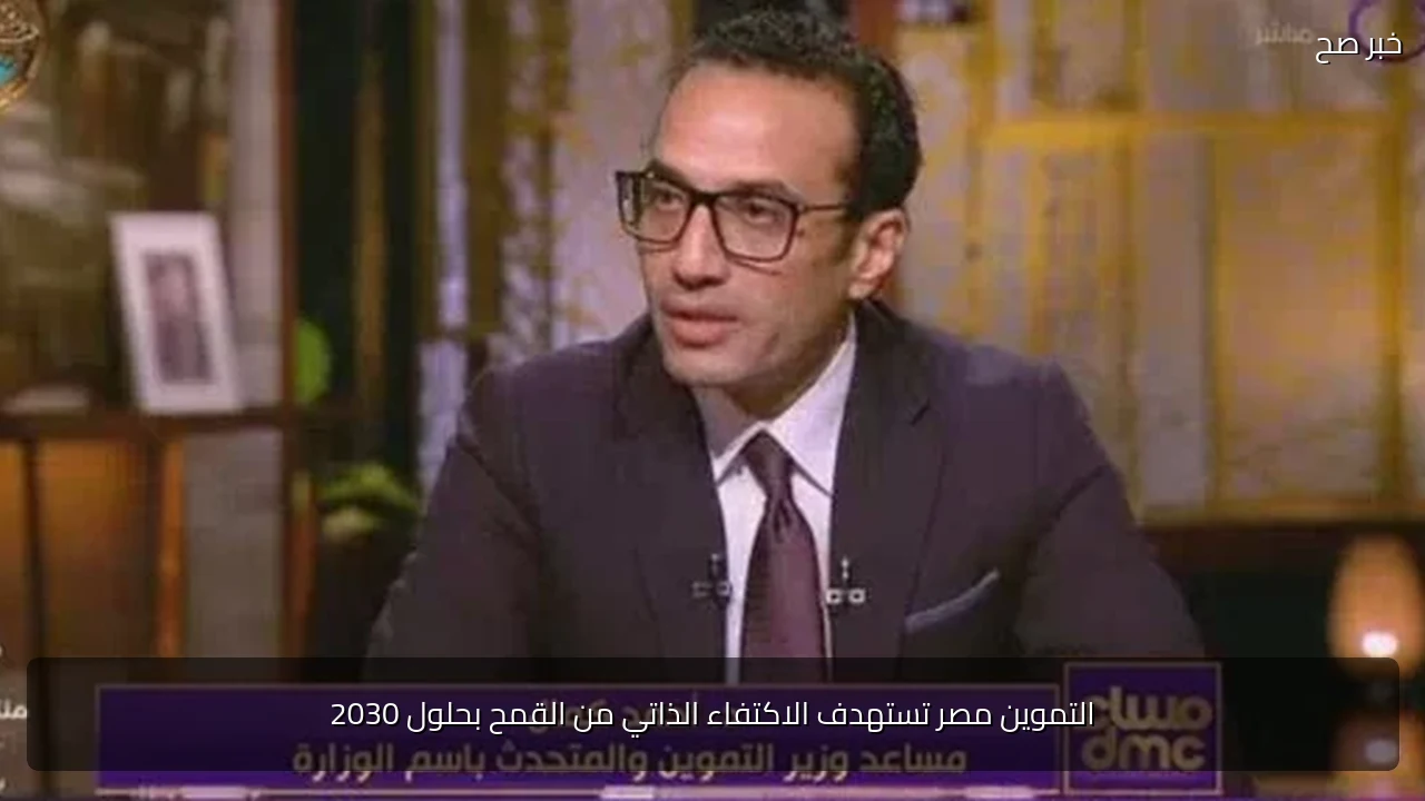 التموين مصر تستهدف الاكتفاء الذاتي من القمح بحلول 2030