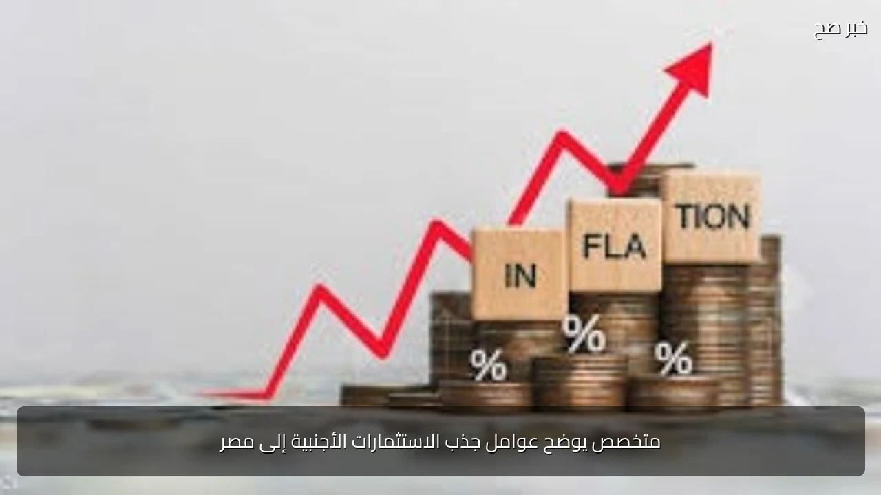 متخصص يوضح عوامل جذب الاستثمارات الأجنبية إلى مصر