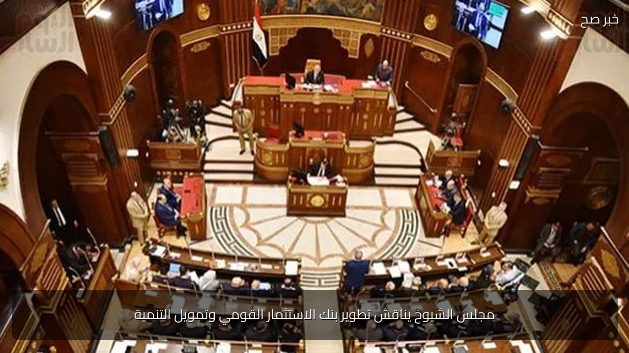 مجلس الشيوخ يناقش تطوير بنك الاستثمار القومي وتمويل التنمية