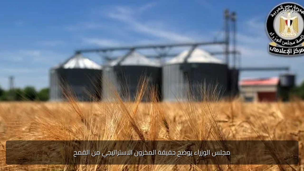 مجلس الوزراء يوضح حقيقة المخزون الاستراتيجي من القمح