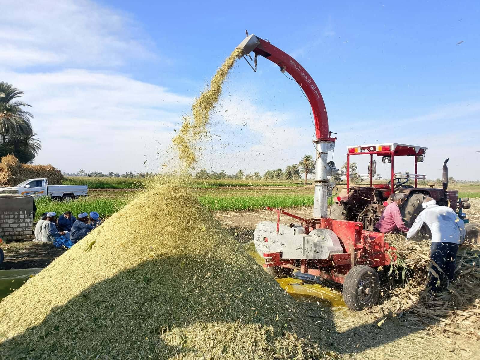 أسيوط تدرب المزارعين على إعداد السيلاج بقرى الفتح أسيوط تدرب المزارعين على إعداد السيلاج بقرى الفتح