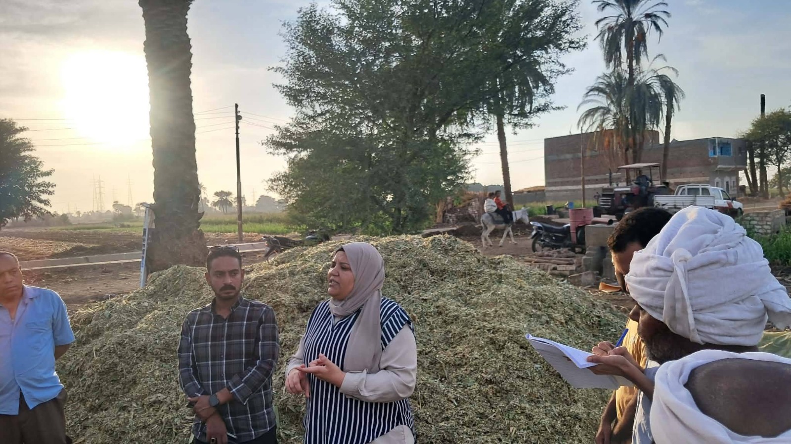 أسيوط تدرب المزارعين على إعداد السيلاج بقرى الفتح أسيوط تدرب المزارعين على إعداد السيلاج بقرى الفتح