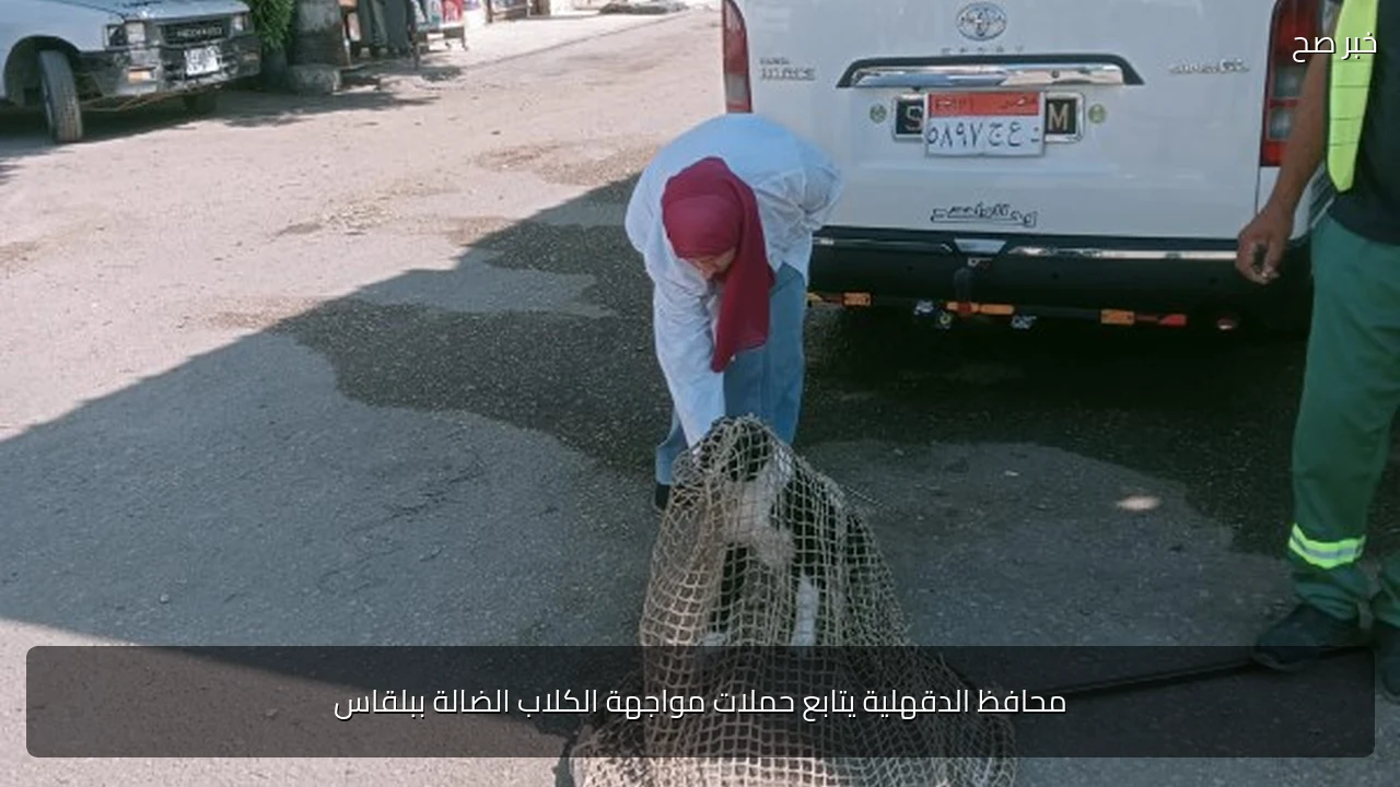 محافظ الدقهلية يتابع حملات مواجهة الكلاب الضالة ببلقاس