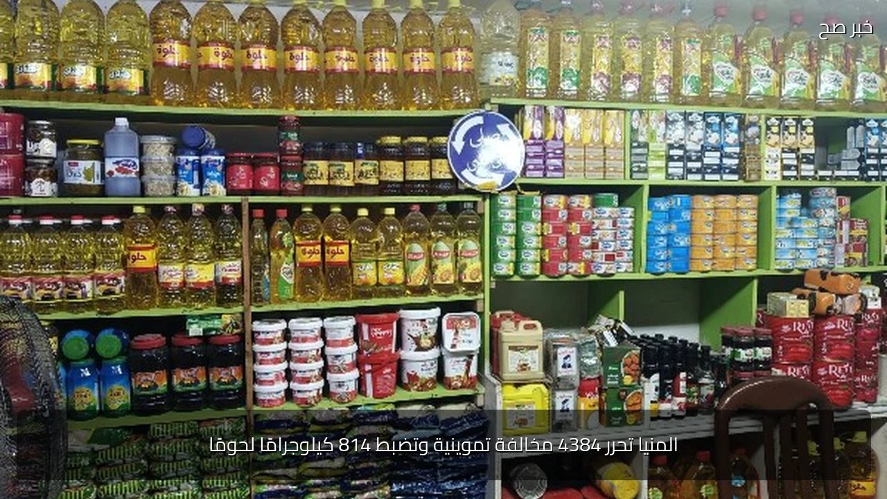 المنيا تحرر 4384 مخالفة تموينية وتضبط 814 كيلوجرامًا لحومًا
