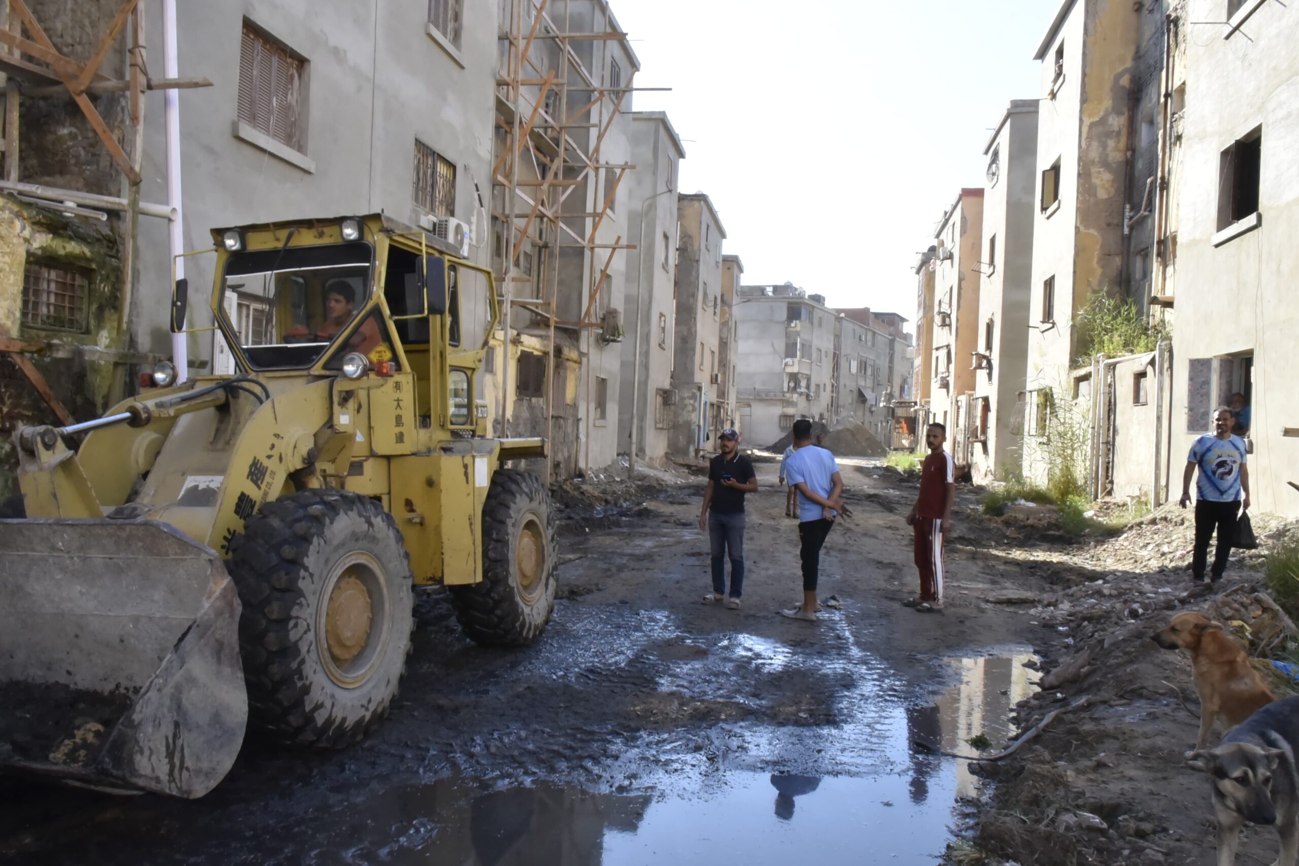 محافظ بورسعيد يتابع تطوير 110 عمارة بحي المناخ محافظ بورسعيد يتابع تطوير 110 عمارة بحي المناخ