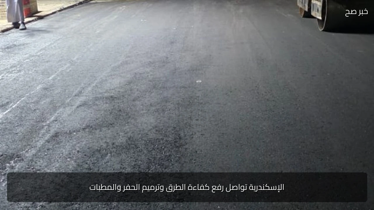 الإسكندرية تواصل رفع كفاءة الطرق وترميم الحفر والمطبات