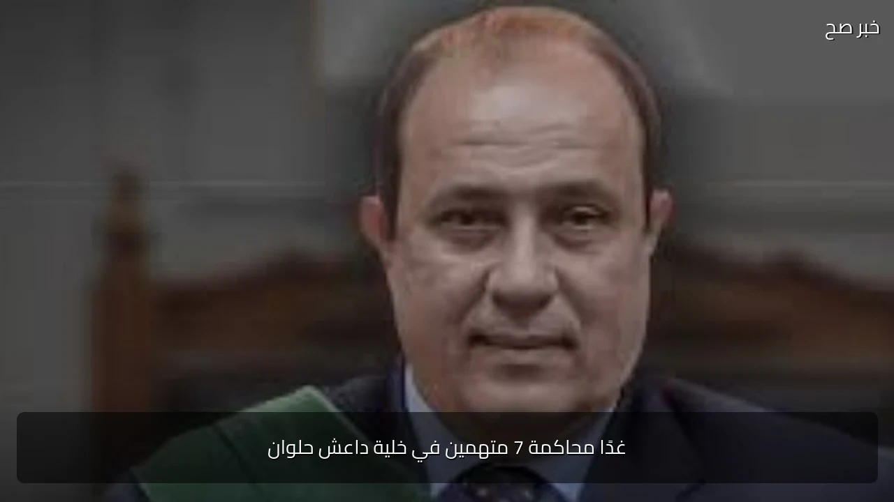 غدًا محاكمة 7 متهمين في خلية داعش حلوان
