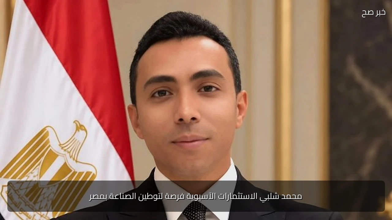 محمد شلبي الاستثمارات الآسيوية فرصة لتوطين الصناعة بمصر