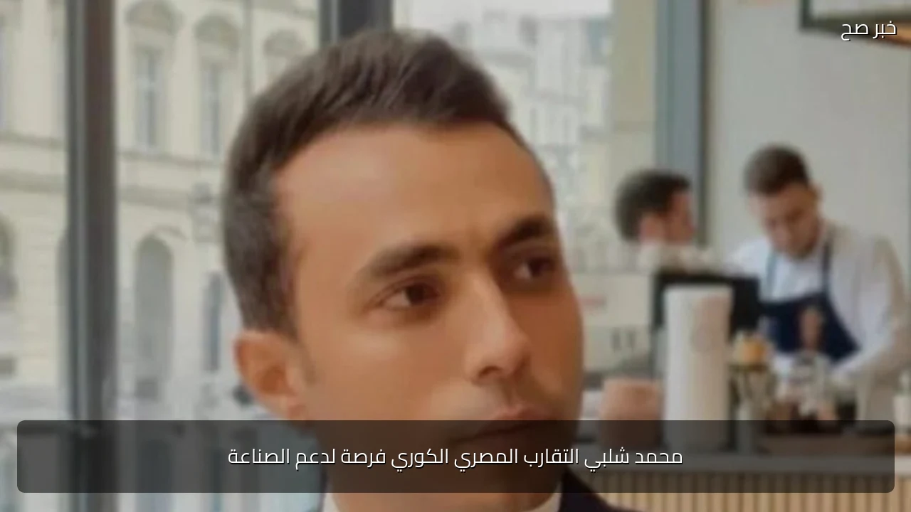 محمد شلبي التقارب المصري الكوري فرصة لدعم الصناعة