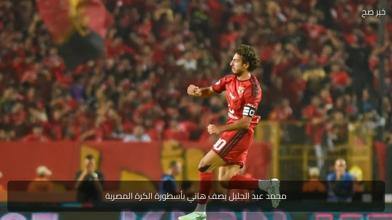 محمد عبد الجليل يصف هاني بأسطورة الكرة المصرية