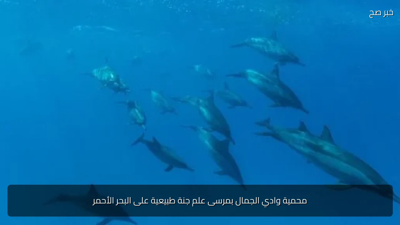 محمية وادي الجمال بمرسى علم جنة طبيعية على البحر الأحمر