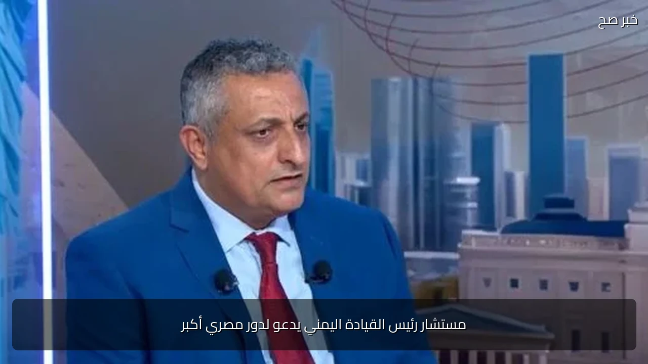 مستشار رئيس القيادة اليمني يدعو لدور مصري أكبر