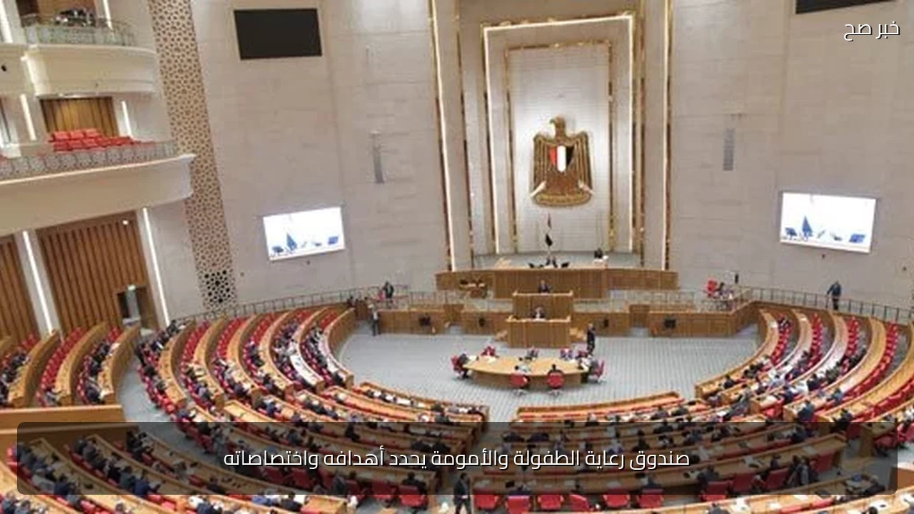 صندوق رعاية الطفولة والأمومة يحدد أهدافه واختصاصاته