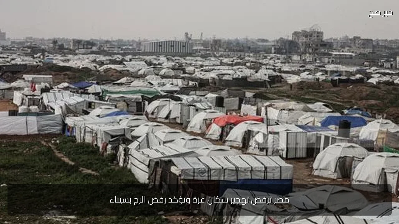 مصر ترفض تهجير سكان غزة وتؤكد رفض الزج بسيناء