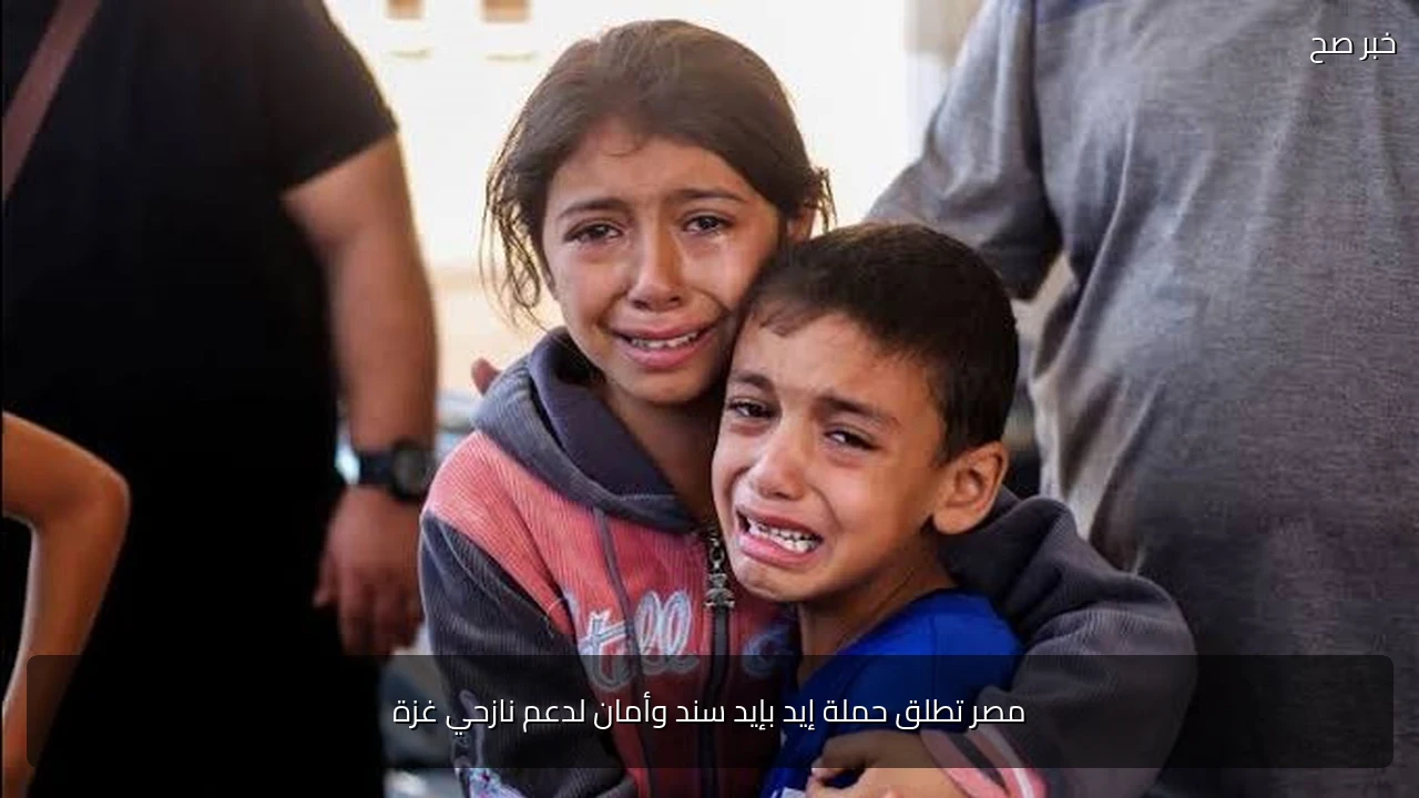 مصر تطلق حملة إيد بإيد سند وأمان لدعم نازحي غزة