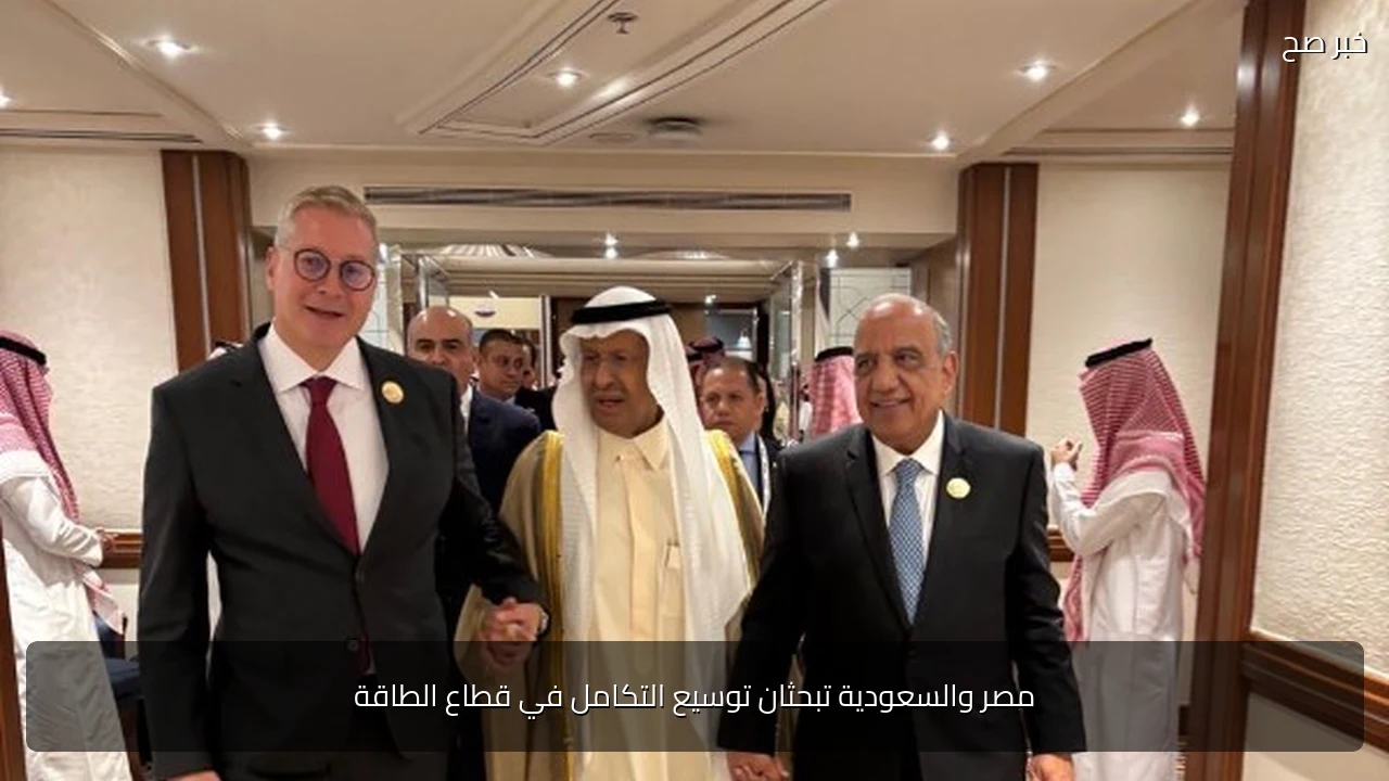 مصر والسعودية تبحثان توسيع التكامل في قطاع الطاقة