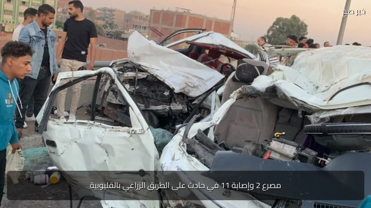 مصرع 2 وإصابة 11 في حادث على الطريق الزراعي بالقليوبية