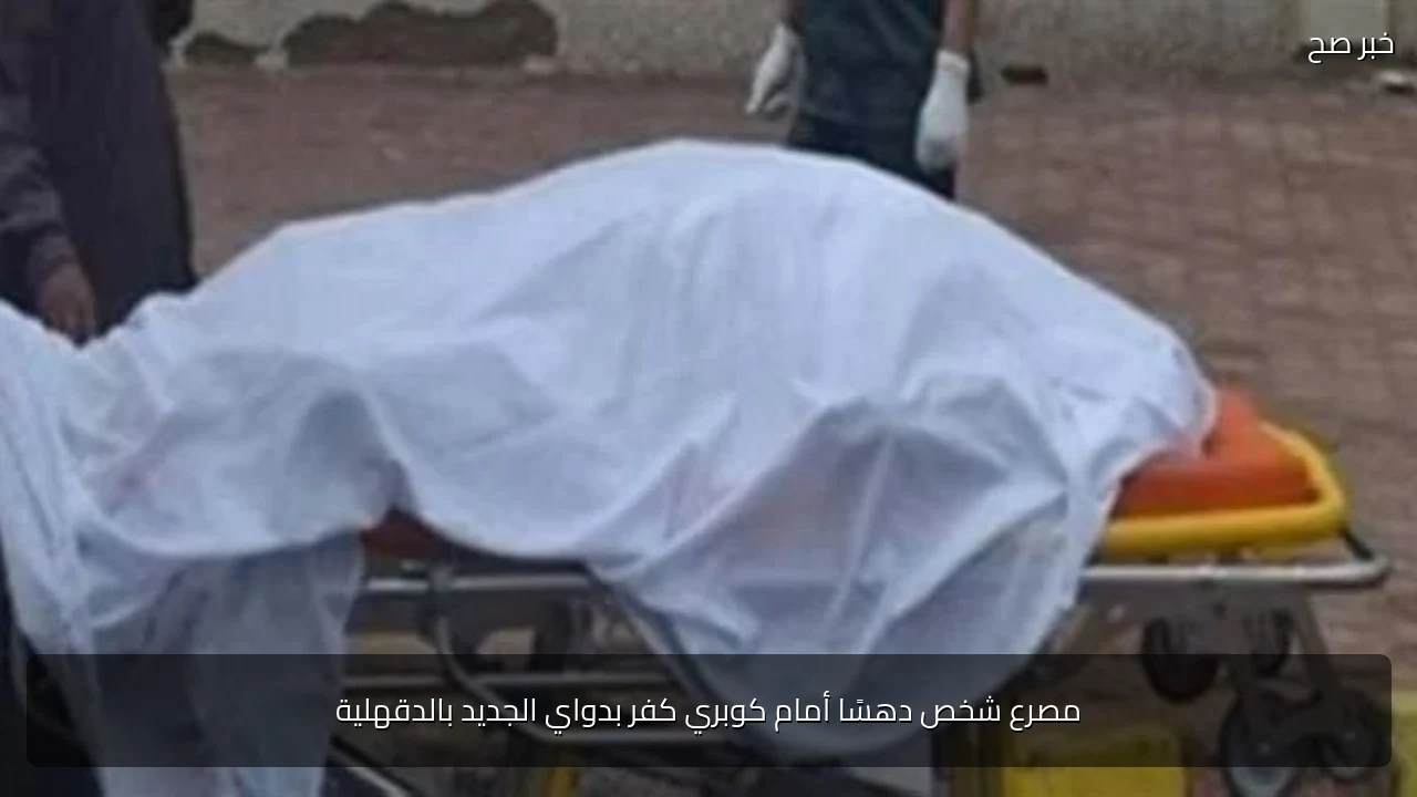 مصرع شخص دهسًا أمام كوبري كفر بدواي الجديد بالدقهلية