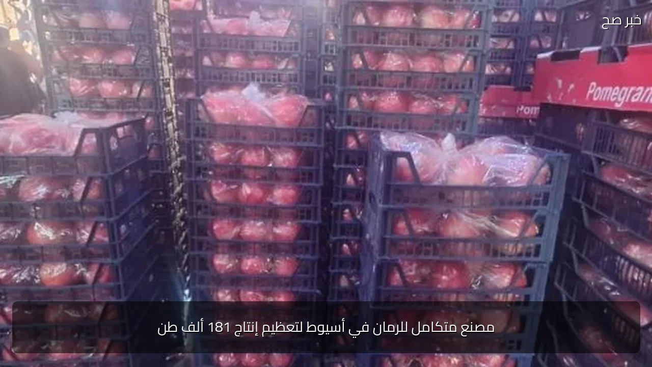 مصنع متكامل للرمان في أسيوط لتعظيم إنتاج 181 ألف طن