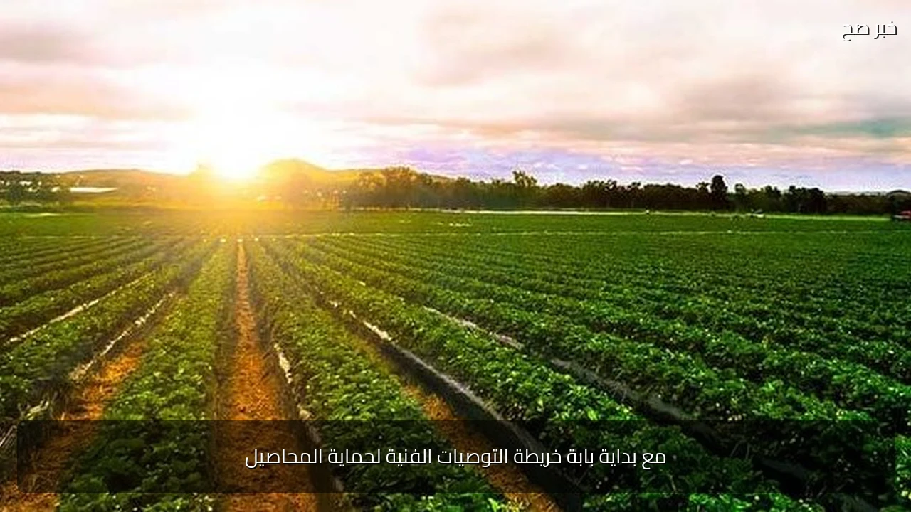مع بداية بابة خريطة التوصيات الفنية لحماية المحاصيل