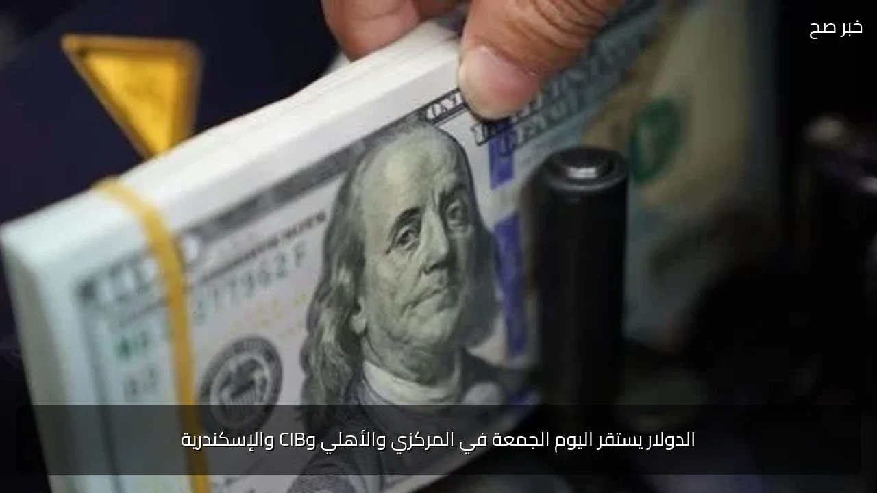 الدولار يستقر اليوم الجمعة في المركزي والأهلي وCIB والإسكندرية