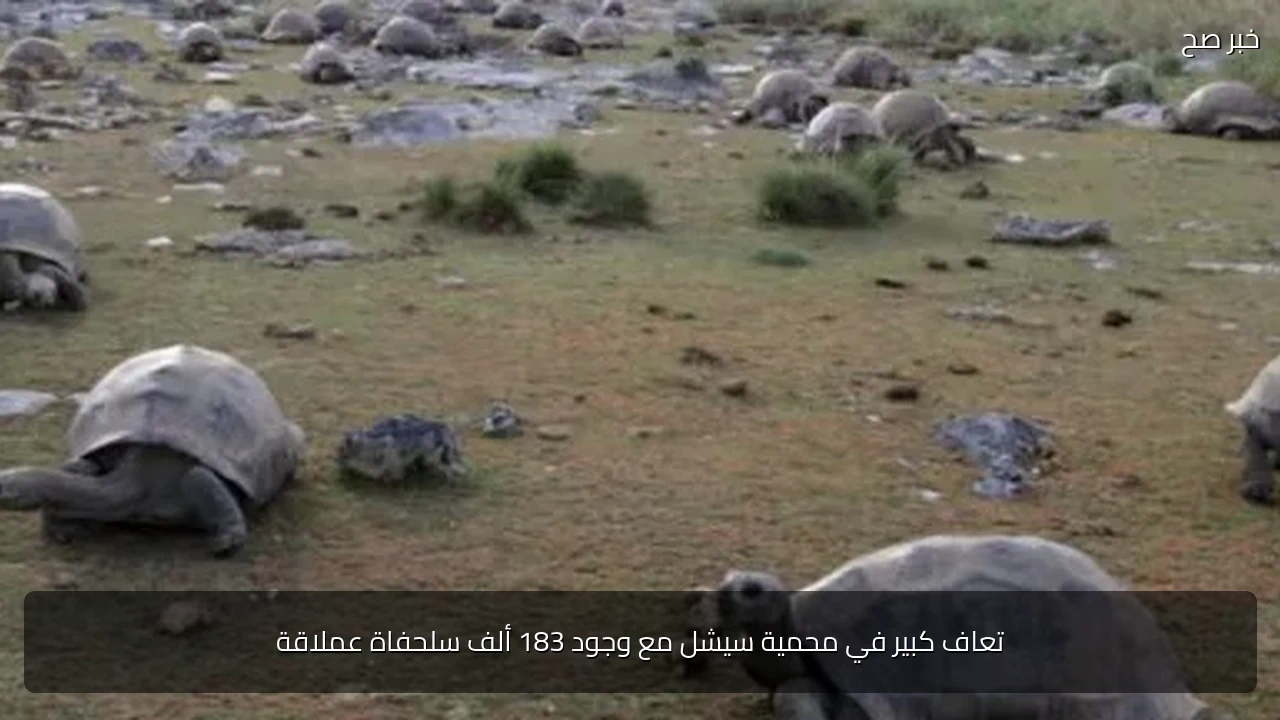 تعاف كبير في محمية سيشل مع وجود 183 ألف سلحفاة عملاقة