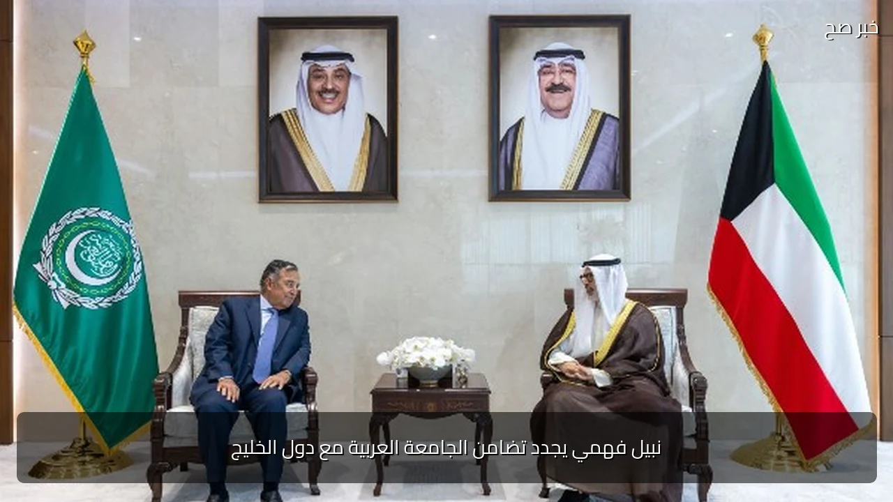 نبيل فهمي يجدد تضامن الجامعة العربية مع دول الخليج