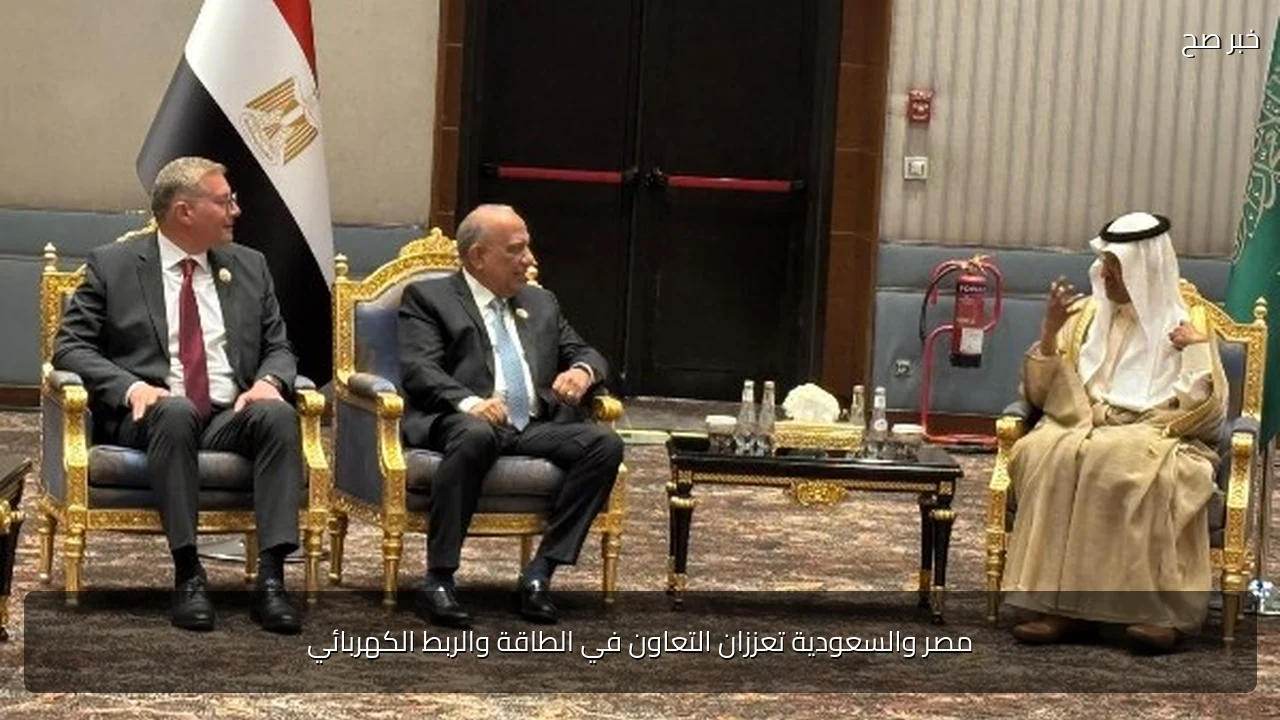 مصر والسعودية تعززان التعاون في الطاقة والربط الكهربائي