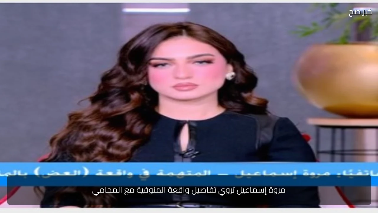 مروة إسماعيل تروي تفاصيل واقعة المنوفية مع المحامي