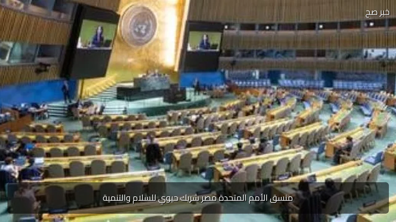 منسق الأمم المتحدة مصر شريك حيوي للسلام والتنمية