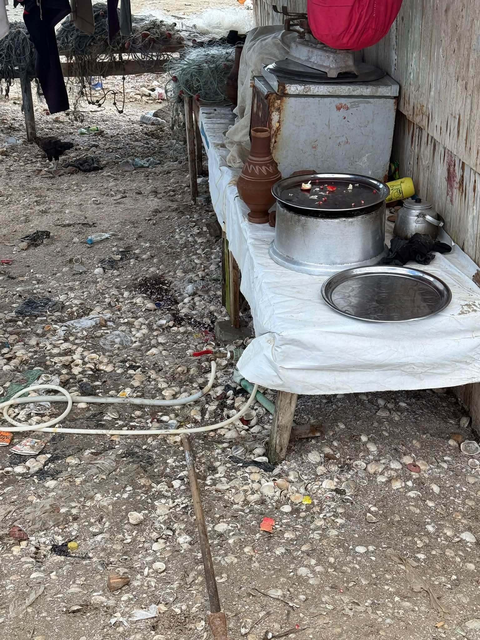 رئيس حي غرب بورسعيد تمنح مهلة عاجلة لإزالة تلوث الشاطئ رئيس حي غرب بورسعيد تمنح مهلة عاجلة لإزالة تلوث الشاطئ