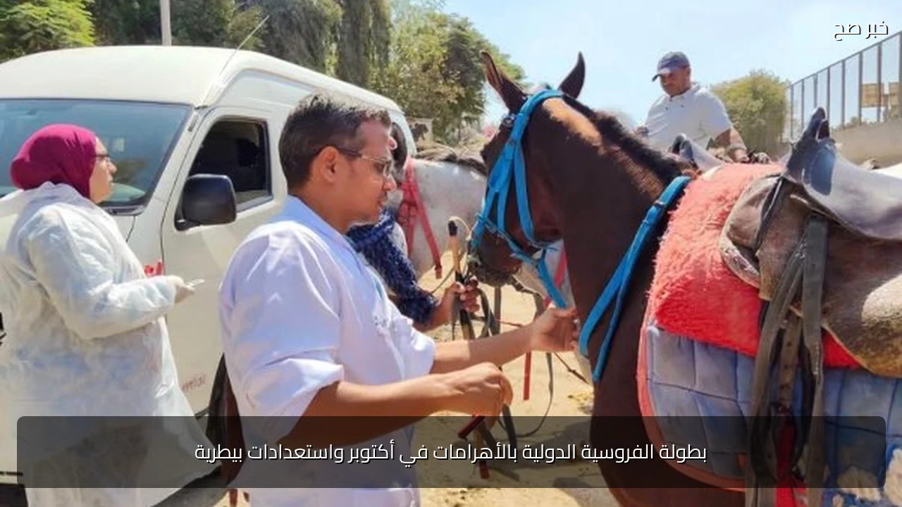 بطولة الفروسية الدولية بالأهرامات في أكتوبر واستعدادات بيطرية