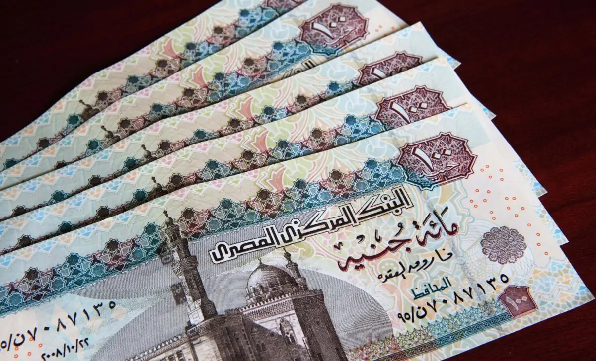 موعد صرف تكافل وكرامة أكتوبر 2026 وخطوات الاستعلام موعد صرف تكافل وكرامة أكتوبر 2026 وخطوات الاستعلام