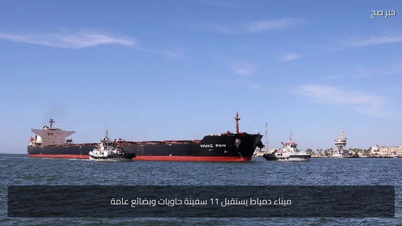 ميناء دمياط يستقبل 11 سفينة حاويات وبضائع عامة