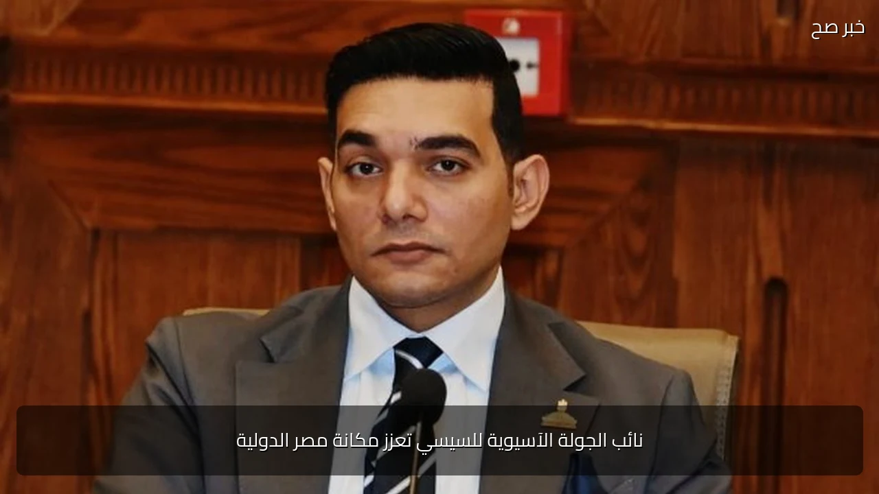 نائب الجولة الآسيوية للسيسي تعزز مكانة مصر الدولية