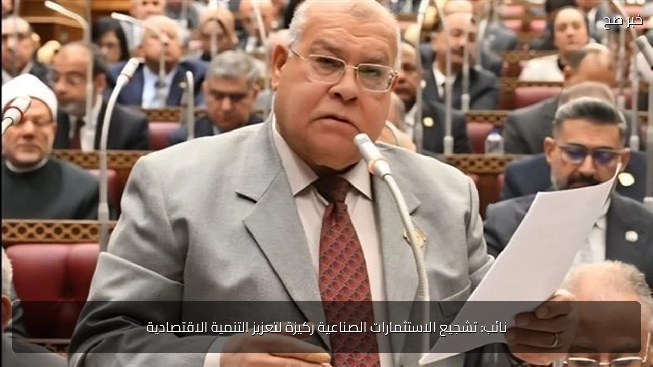 نائب: تشجيع الاستثمارات الصناعية ركيزة لتعزيز التنمية الاقتصادية