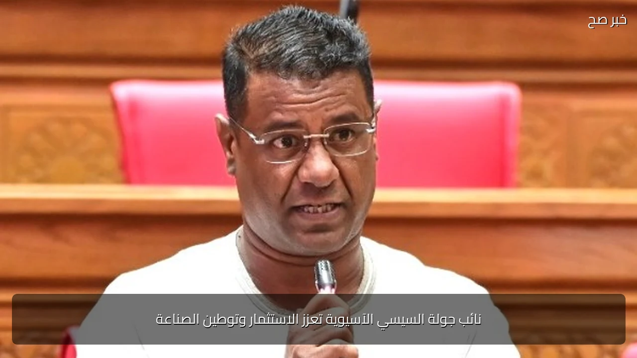 نائب جولة السيسي الآسيوية تعزز الاستثمار وتوطين الصناعة