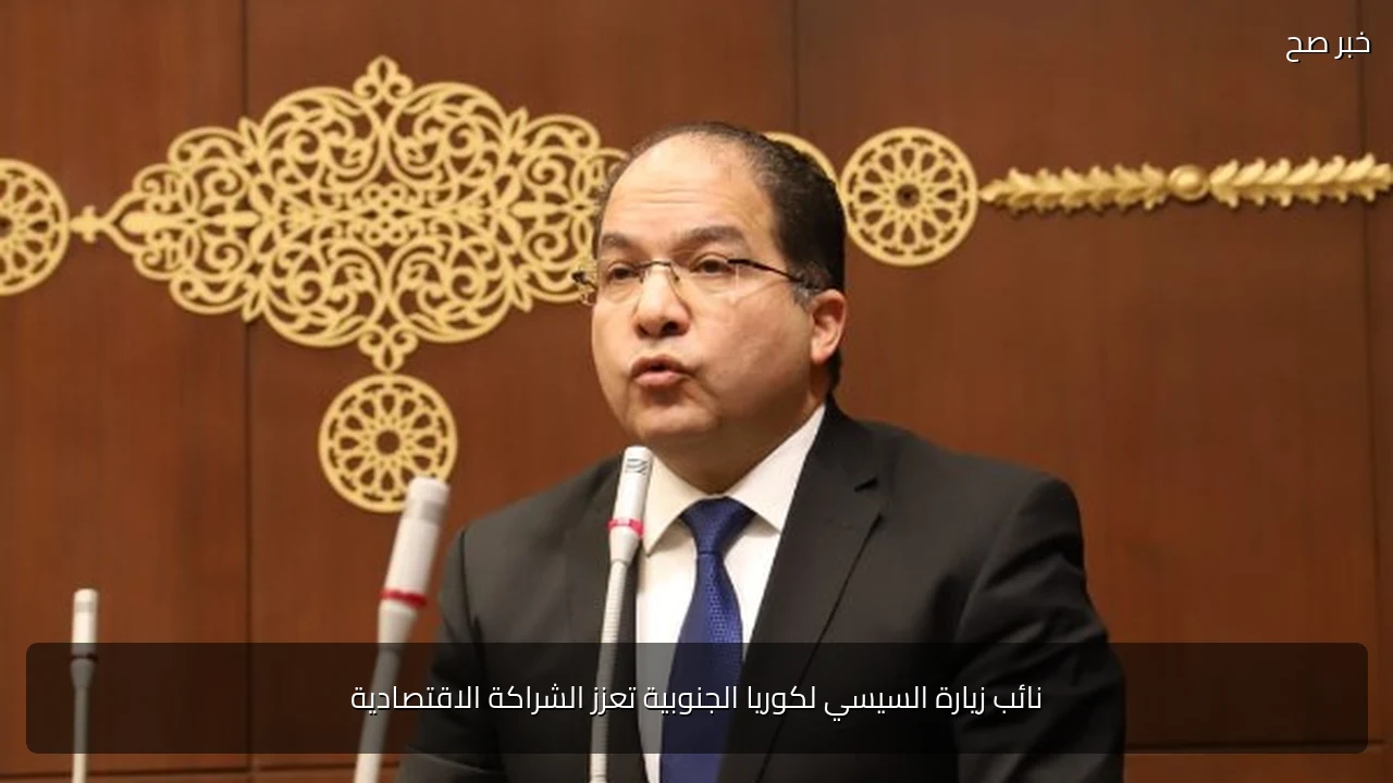 نائب زيارة السيسي لكوريا الجنوبية تعزز الشراكة الاقتصادية