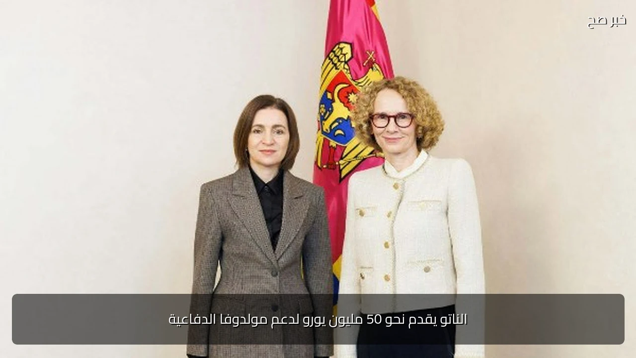 الناتو يقدم نحو 50 مليون يورو لدعم مولدوفا الدفاعية
